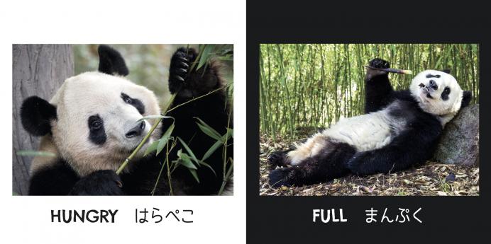 パンダ はんたいことば