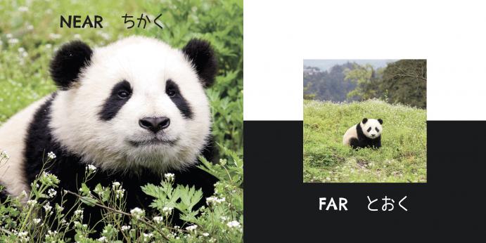 パンダ はんたいことば