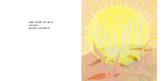 たね