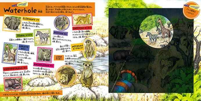 野生動物を探せ! – WORLDLIBRARY ONLINE SHOP